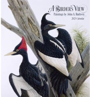 A Birder's View - A. Ruthven, John