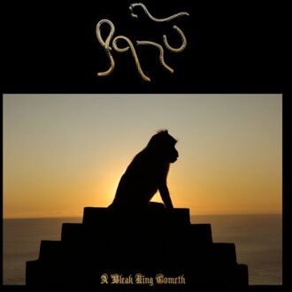 A Bleak King Cometh - Qasu