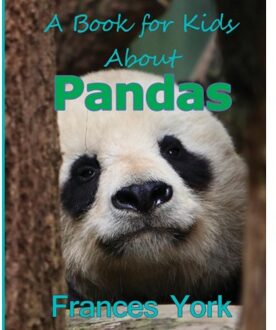 A Book For Kids About Pandas - York, Frances