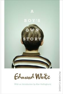A Boy's Own Story