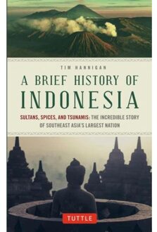 A Brief History of Indonesia: Sultans, Spices, and Tsunamis