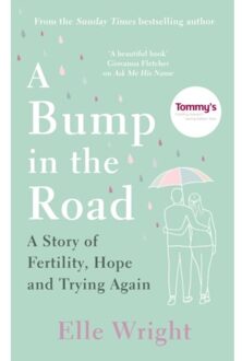 A Bump In The Road - Elle Wright