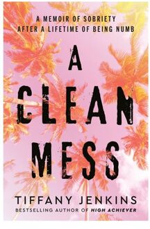 A Clean Mess - Tiffany Jenkins