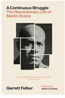 A Continuous Struggle - Garrett Felber