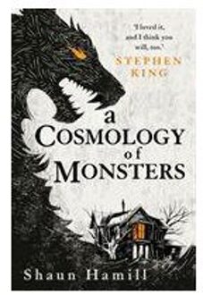 A Cosmology of Monsters