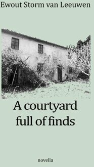A courtyard full of finds - Ewout Storm van Leeuwen - ebook