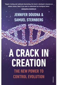 A Crack in Creation