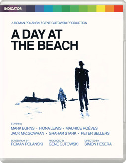 A Day at the Beach Limited Edition