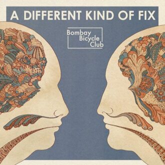 A Different Kind Of Fix (LP)