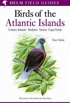 A Field Guide to the Birds of the Atlantic Islands