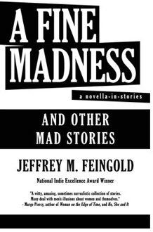 A Fine Madness: A Novella In Stories And Other Mad Stories - Jeffrey M. Feingold