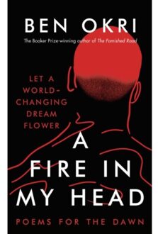 A Fire In My Head - Ben Okri