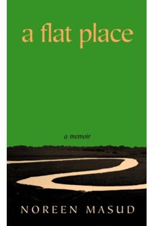 A Flat Place - Noreen Masud