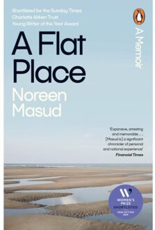 A Flat Place - Noreen Masud