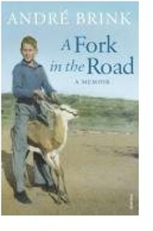 A Fork in the Road