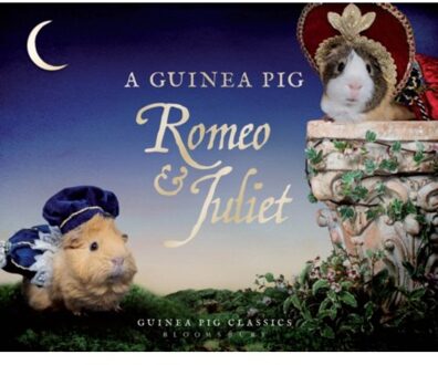 A Guinea Pig Romeo & Juliet