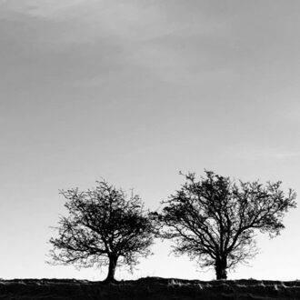 A Heightened Sense Of Everything - Jon Allen