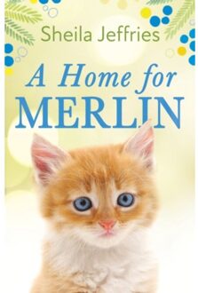 A Home For Merlin - Sheila Jeffries