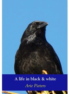 A life in black & white - Boek Arie Pieters (9462542945)