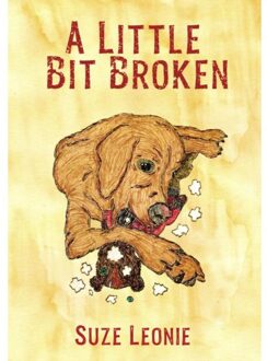 A Little Bit Broken - Suze Leonie