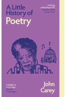 A Little History Of Poetry - Little Histories - John Carey