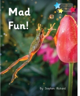 A Lot Of Fun! - Reading Stars Phonics - Stephen Rickard