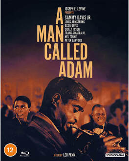 A Man Called Adam