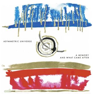 A Memory And What Came After - Asymmetric Universe