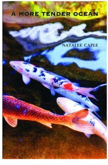 A More Tender Ocean - Natalee Caple