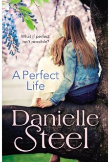 A Perfect Life - Danielle Steel