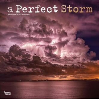 A Perfect Storm 2025 12 X 24 Inch Monthly Square Wall Calendar Foil Stamped Cover Plastic-Free - Browntrout