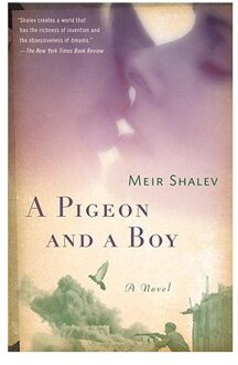 A Pigeon and a Boy