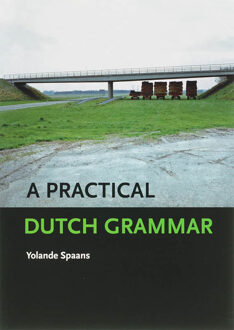 A Practical Dutch Grammar - Boek Y. Spaans (9059970403)