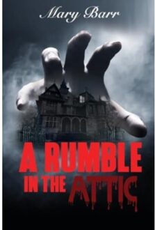 A Rumble In The Attic, Bk 1 - Mary Barr
