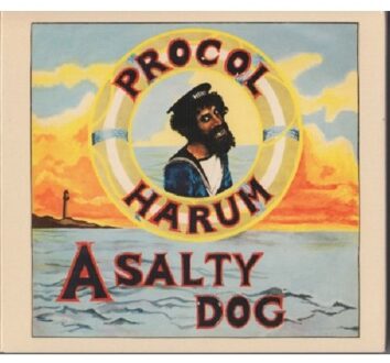 A Salty Dog