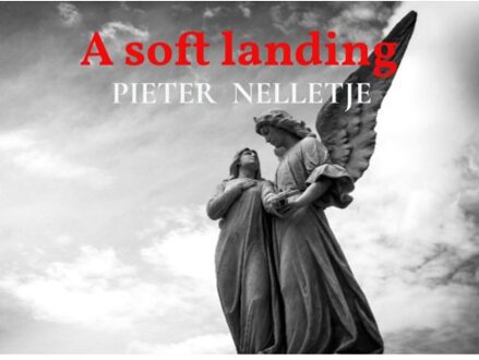 A Soft Landing Oblong - Pieter Nelletje