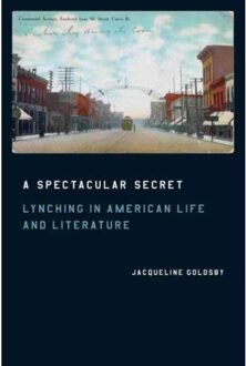 A Spectacular Secret - Goldsby, Jacqueline