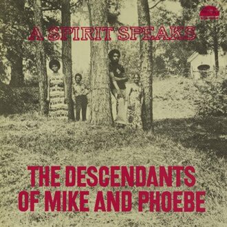 A Spirit Speaks - Bill Lee & The Descendants Of Mi