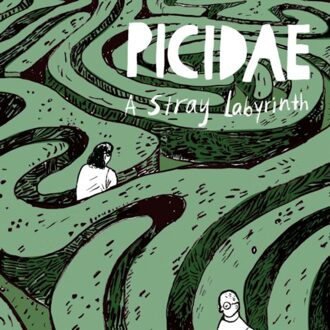 A Stray Labyrinth - Picidae