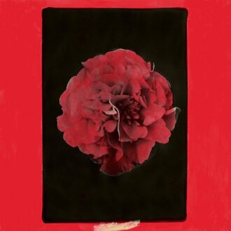 A Thousand Years In Another Way - Activity