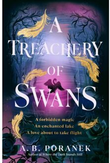A Treachery Of Swans - A. B. Poranek