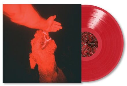 A Trick Of The Light - Eli Winter