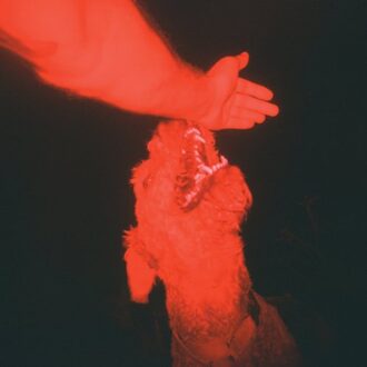 A Trick Of The Light - Eli Winter