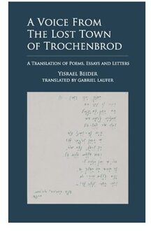 A Voice From The Lost Town Of Trochenbrod - Yisrael Beider