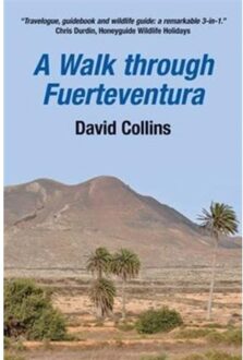 A Walk Through Fuerteventura - David Collins
