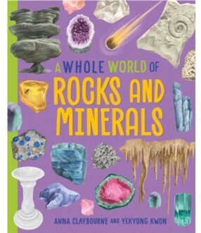 A Whole World Of...: Rocks And Minerals - A Whole World Of... - Anna Claybourne
