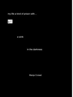 A wink in the darkness - Boek Manja Croiset (9402154388)