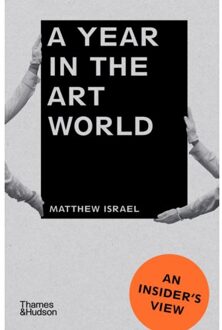 A Year In The Art World - Matthew Israel