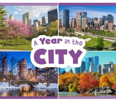 A Year In The City - Season To Season - Christina Mia Gardeski
