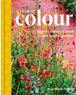 A Year Of Colour - Ann-Marie Powell